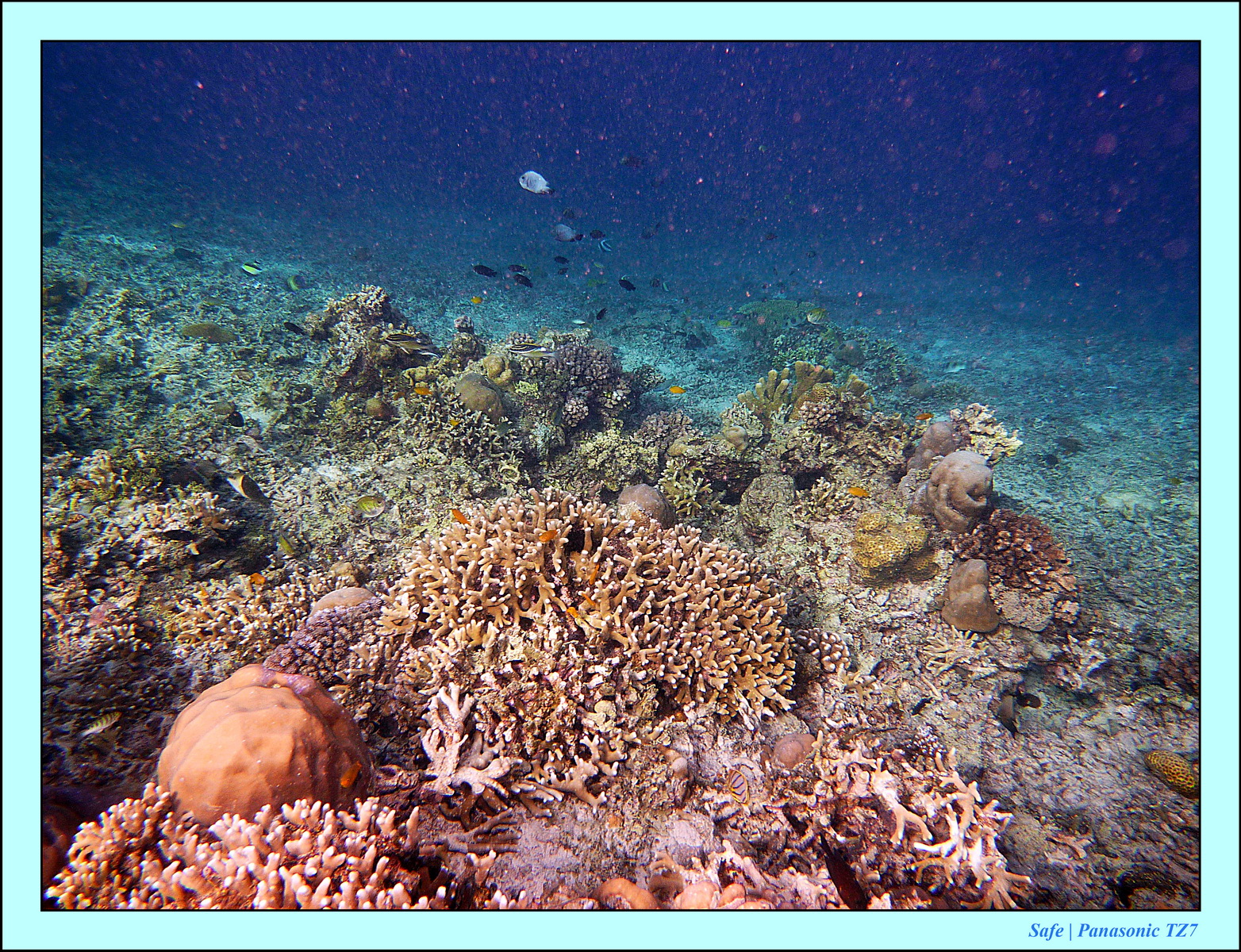 2012 - 07 - Gili - 83